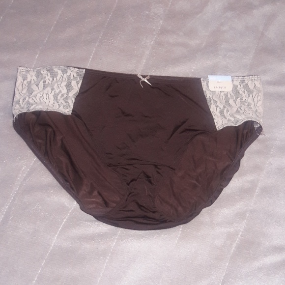 Cacique Other - Brown & Cream Hipster Panties w/Lace NWT 14/16 Cacique Other - Brown & Cream Hipster Panties w/Lace NWT 14/16